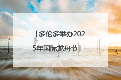 多伦多举办2025年国际龙舟节