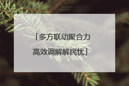 多方联动聚合力 高效调解解民忧
