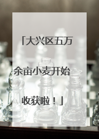 大兴区五万余亩小麦开始收获啦！