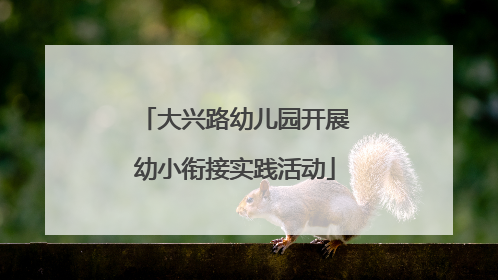 大兴路幼儿园开展幼小衔接实践活动