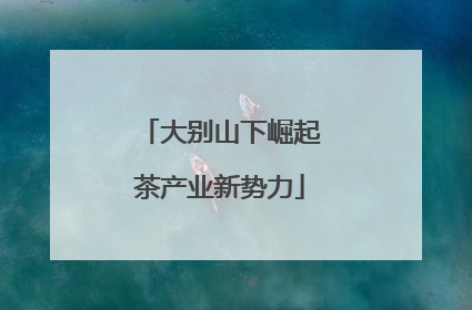 大别山下崛起茶产业新势力