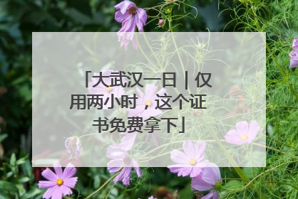 大武汉一日｜仅用两小时，这个证书免费拿下