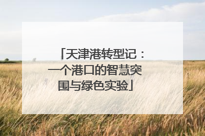 天津港转型记：一个港口的智慧突围与绿色实验