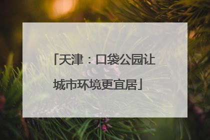 天津：口袋公园让城市环境更宜居