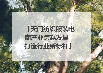 天门纺织服装电商产业跨越发展 打造行业新标杆