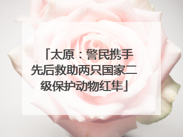 太原：警民携手 先后救助两只国家二级保护动物红隼
