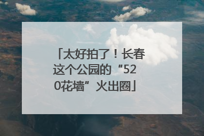 太好拍了！长春这个公园的“520花墙”火出圈