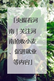 央媒看河南｜关注河南抢收小麦、促进就业等内容