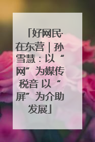 好网民·在东营｜孙雪慧：以“网”为媒传税音 以“屏”为介助发展