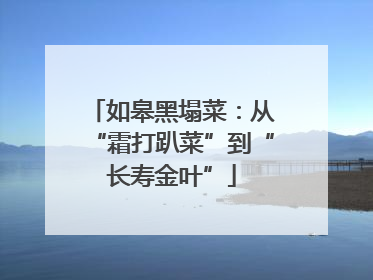 如皋黑塌菜：从“霜打趴菜”到“长寿金叶”