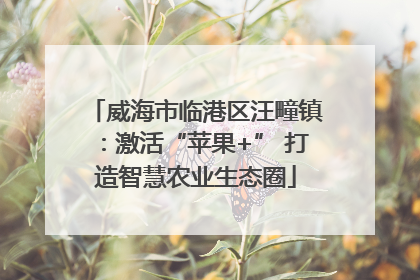 威海市临港区汪疃镇：激活“苹果+” 打造智慧农业生态圈