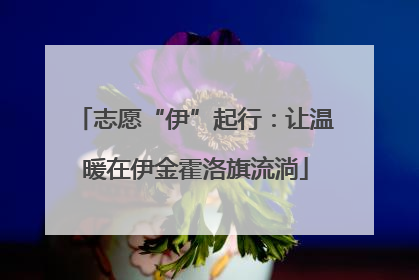 志愿“伊”起行：让温暖在伊金霍洛旗流淌