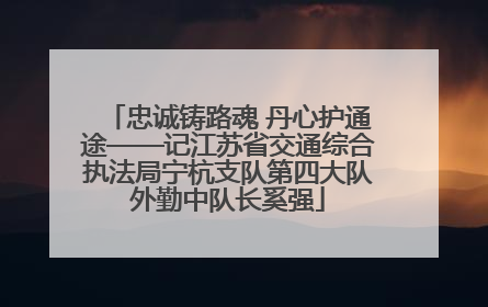 忠诚铸路魂 丹心护通途——记江苏省交通综合执法局宁杭支队第四大队外勤中队长奚强