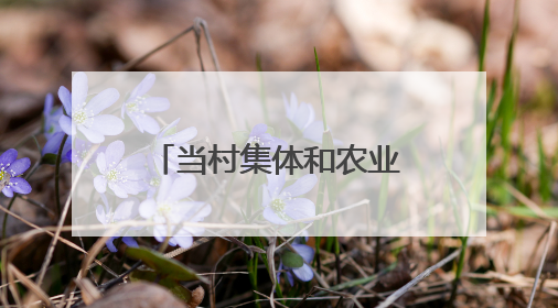 当村集体和农业企业尝试签下“对赌”协议 能为发展酿酒专用粮产业带来哪些利好？