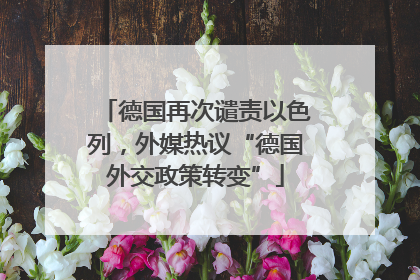 德国再次谴责以色列，外媒热议“德国外交政策转变”