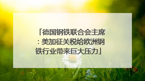 德国钢铁联合会主席：美加征关税给欧洲钢铁行业带来巨大压力