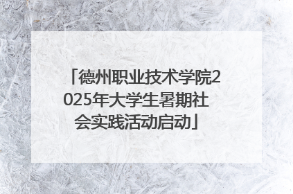 德州职业技术学院2025年大学生暑期社会实践活动启动