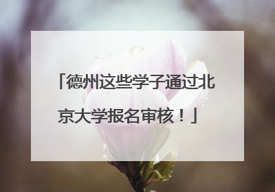 德州这些学子通过北京大学报名审核！