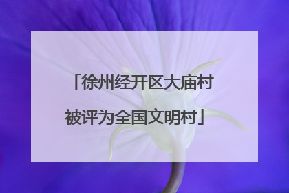 徐州经开区大庙村被评为全国文明村