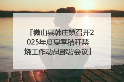 微山县韩庄镇召开2025年度夏季秸秆禁烧工作动员部署会议