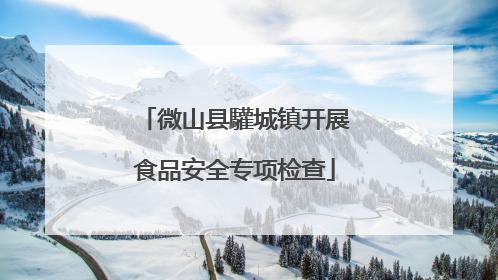 微山县驩城镇开展食品安全专项检查