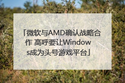 微软与AMD确认战略合作 高呼要让Windows成为头号游戏平台