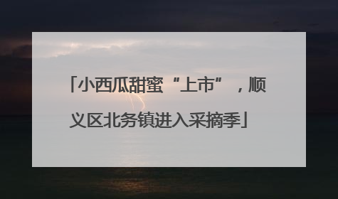 小西瓜甜蜜“上市”，顺义区北务镇进入采摘季