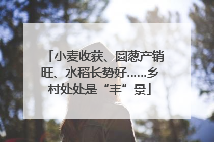 小麦收获、圆葱产销旺、水稻长势好……乡村处处是“丰”景