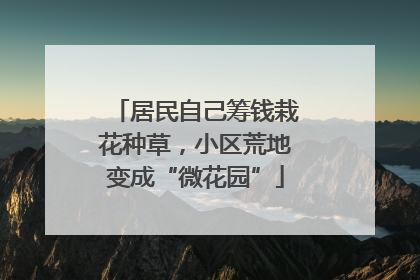 居民自己筹钱栽花种草，小区荒地变成“微花园”