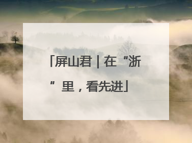 屏山君｜在“浙”里，看先进