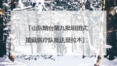 山东烟台第九批组团式援藏医疗队抵达聂拉木