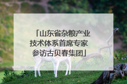 山东省杂粮产业技术体系首席专家参访古贝春集团