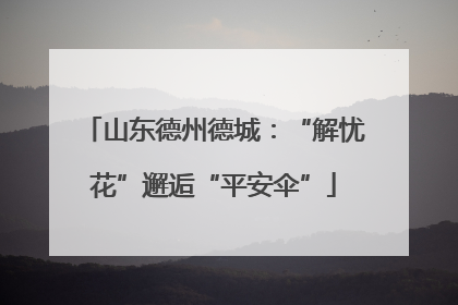 山东德州德城：“解忧花”邂逅“平安伞”