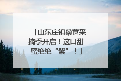 山东庄镇桑葚采摘季开启！这口甜蜜绝绝“紫”！