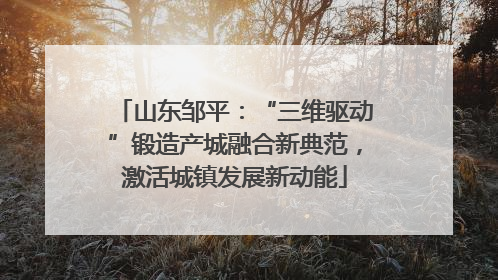 山东邹平：“三维驱动”锻造产城融合新典范，激活城镇发展新动能