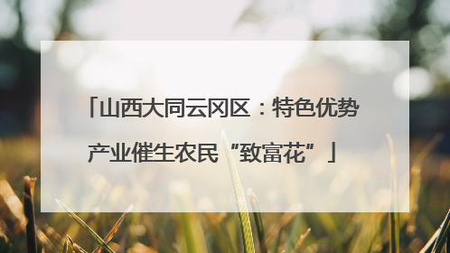 山西大同云冈区：特色优势产业催生农民“致富花”
