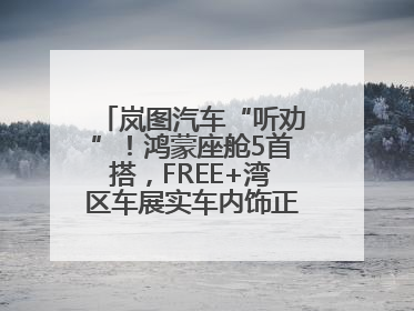 岚图汽车“听劝”！鸿蒙座舱5首搭，FREE+湾区车展实车内饰正式曝光