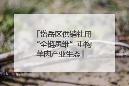 岱岳区供销社用“全链思维”重构羊肉产业生态