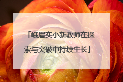 峨眉实小新教师在探索与突破中持续生长