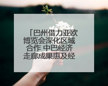 巴州借力亚欧博览会深化区域合作 中巴经济走廊成果惠及经贸发展