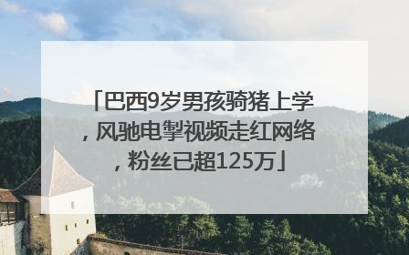 巴西9岁男孩骑猪上学，风驰电掣视频走红网络，粉丝已超125万