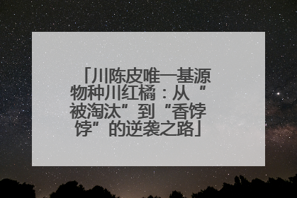 川陈皮唯一基源物种川红橘：从“被淘汰”到“香饽饽”的逆袭之路