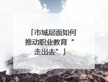 市域层面如何推动职业教育“走出去”