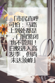 市民直呼可怕：马路上到处都是，门窗紧闭也不管用！白蚁进入高发季，但尚未达顶峰
