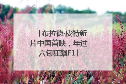 布拉德·皮特新片中国首映，年过六旬狂飙F1