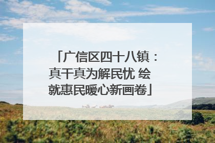 广信区四十八镇：真干真为解民忧 绘就惠民暖心新画卷