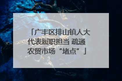 广丰区排山镇人大代表履职担当 疏通农贸市场“堵点”