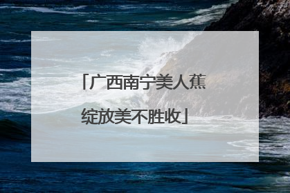 广西南宁美人蕉绽放美不胜收