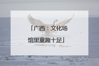 广西：文化场馆里童趣十足