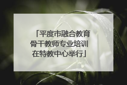平度市融合教育骨干教师专业培训在特教中心举行